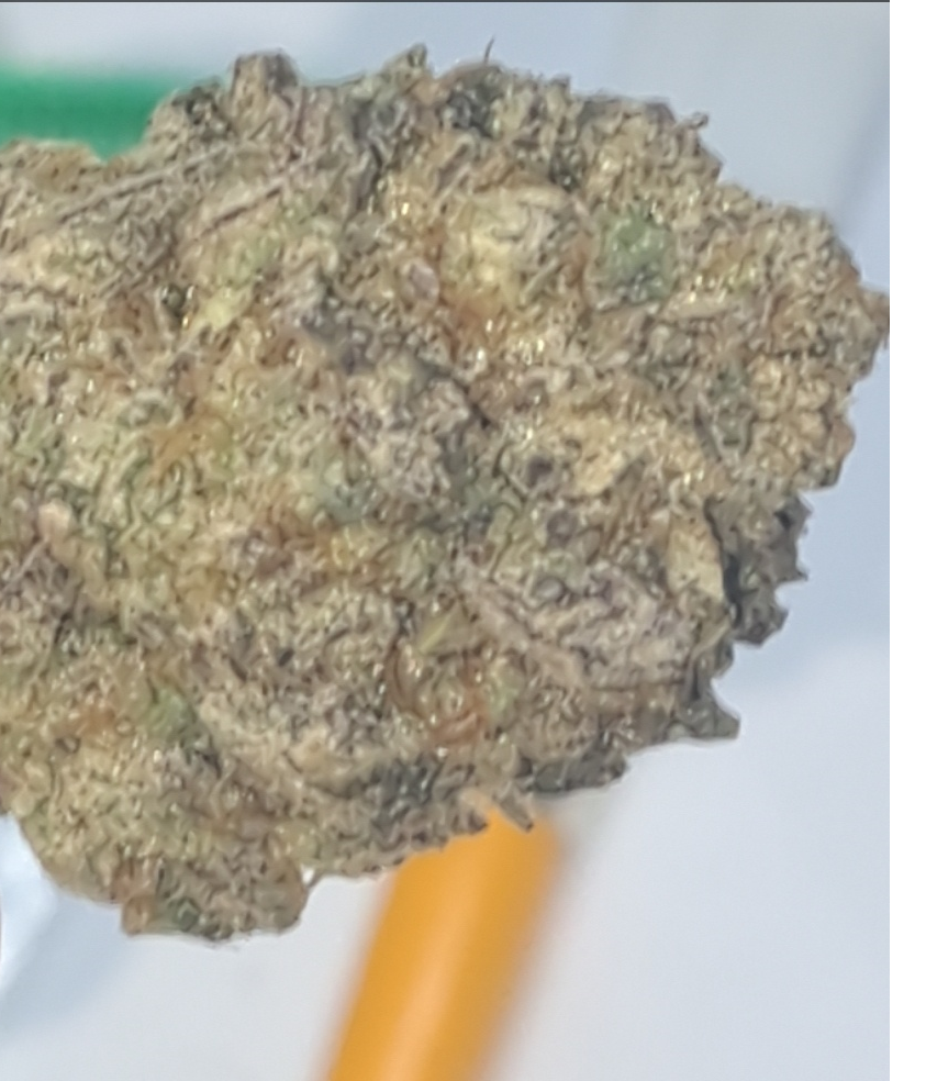 supposed to be weed here, if there isn't please let me know